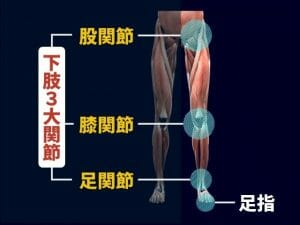 【医師が説明する】交通事故による下肢機能障害と治療について