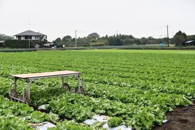 農地を生前贈与すると贈与税がかかる！納税猶予の特例や手続きの流れについて