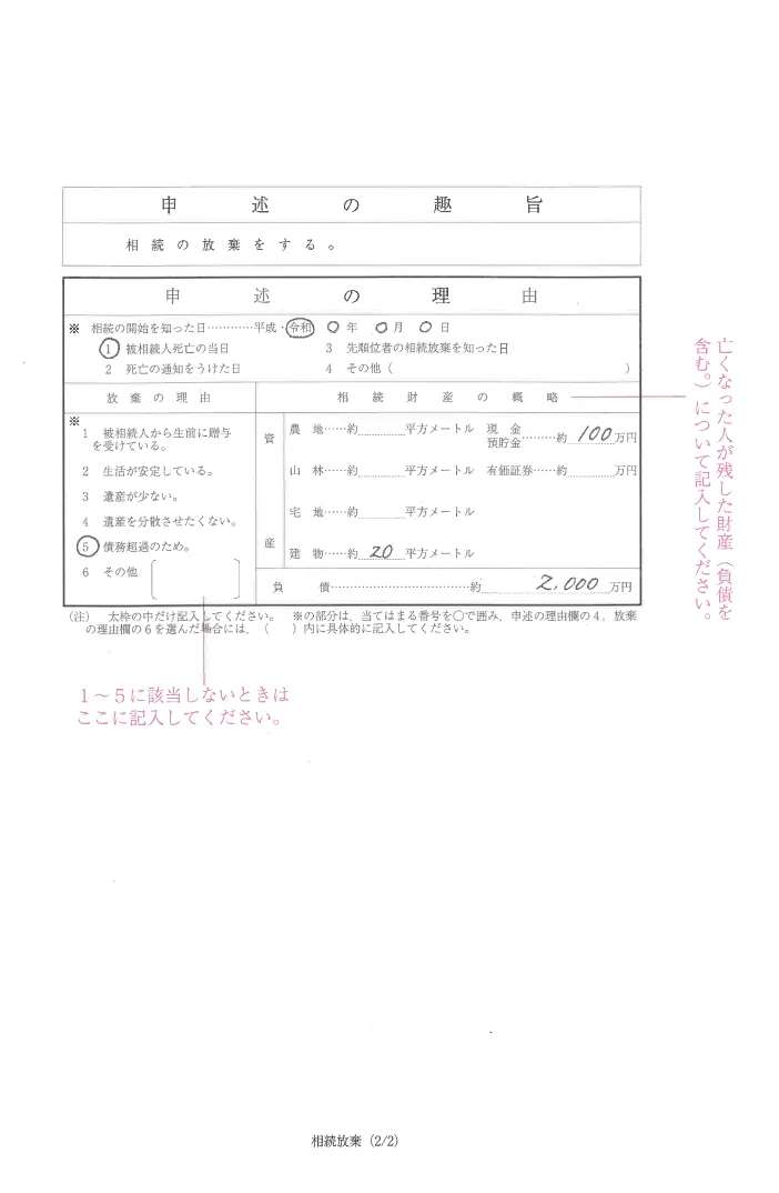 相続放棄申述書 20歳未満2