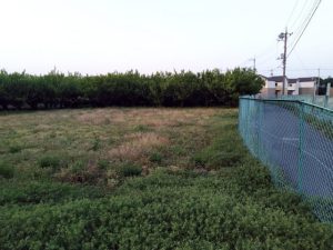 土地と建物の名義が違う場合、立ち退きはどうなる？解体や相続トラブルなど