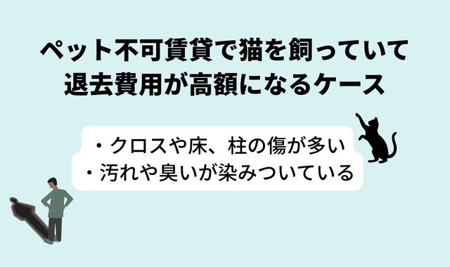 ペット不可賃貸で猫を飼っていて退去費用が高額になるケース