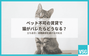 ペット不可の賃貸で猫がバレたらどうなる？立ち退き・高額請求を避ける対処法