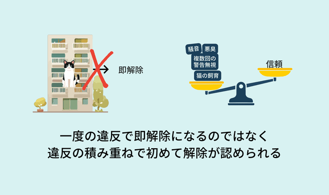 【即退去ではない】ペット不可賃貸で猫を飼っていることがバレるとどうなる？