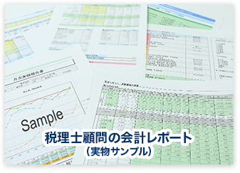 税理士顧問の会計レポート