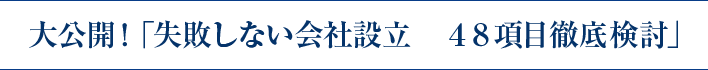 大公開！「失敗しない会社設立　４８項目徹底検討」
