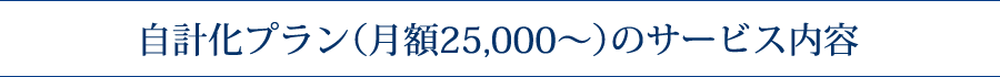 自計化プラン（月額２５，０００～）のサービス内容