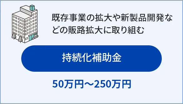 持続化補助金