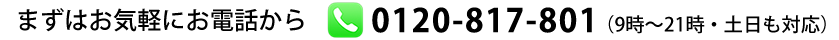 0120-731-001