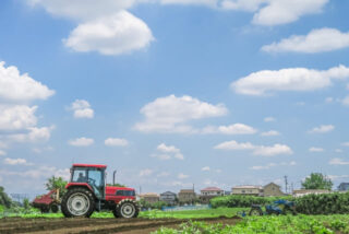 農地転用許可証の取得方法・手続きの流れ｜農地転用の注意点も解説