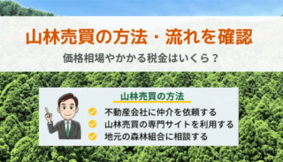 山林売買の方法・流れを確認｜価格相場やかかる税金はいくら？