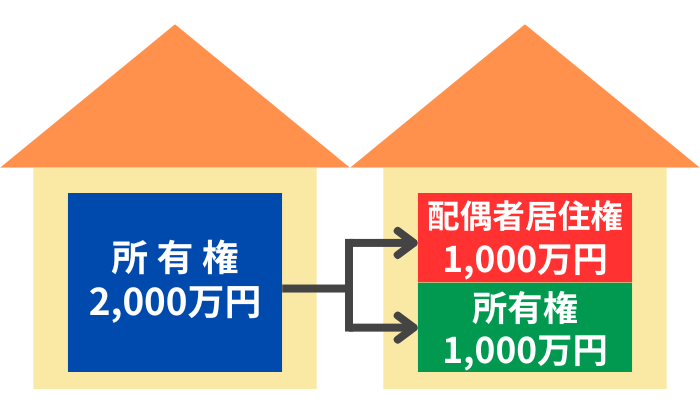 配偶者居住権と所有権に分けられるイメージ
