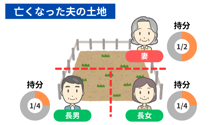 共有分割のイメージ