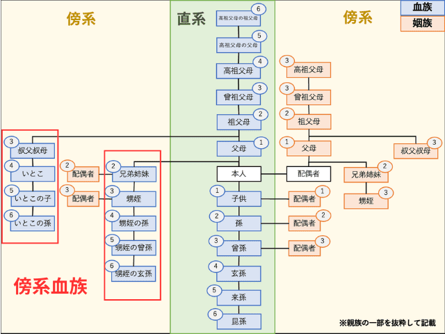 傍系血族 家系図
