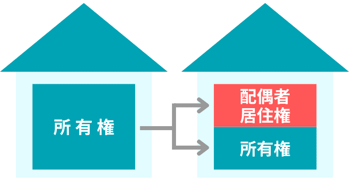 配偶者居住権と所有権の分け方