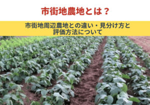 市街地農地とは？市街地周辺農地との違い・見分け方と評価方法について