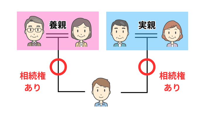 普通養子縁組では実親と養親の両方の財産を相続する権利を持つ