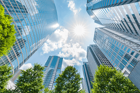 ３万社超の設立実績