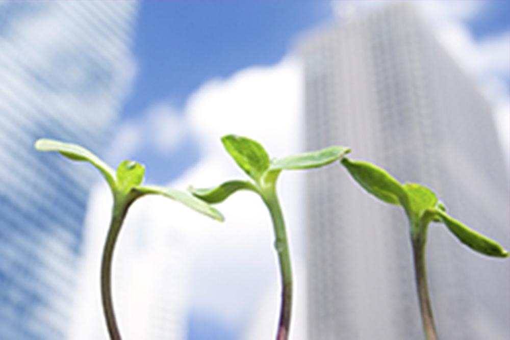 創業融資の相談