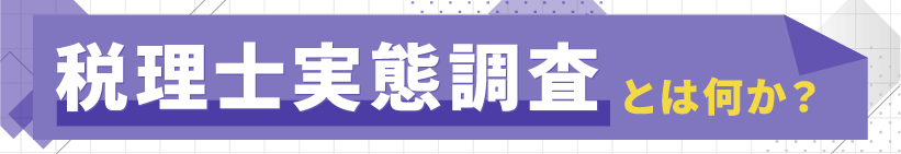 税理士実態調査と何か？