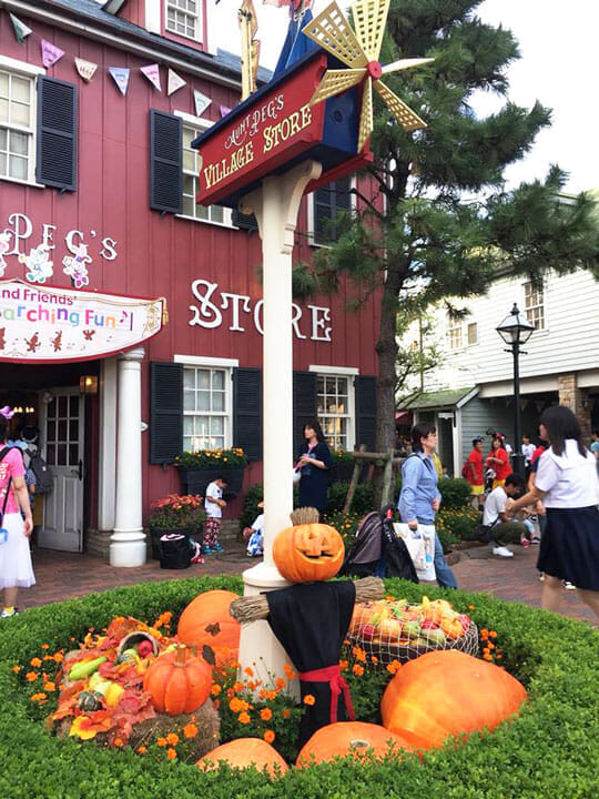 東京ディズニーシーに行ってきました ベンチャーサポートグループ