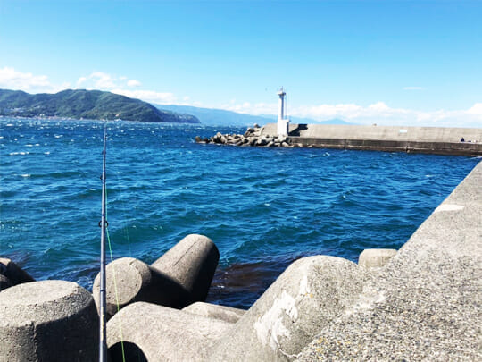 堤防釣りに行ってまいりました ベンチャーサポートグループ