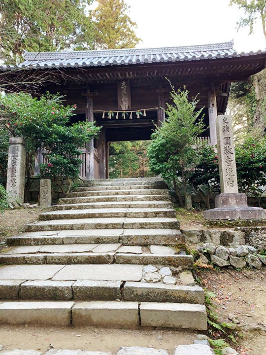 初詣で山の上にある神社へ行ってまいりました ベンチャーサポートグループ